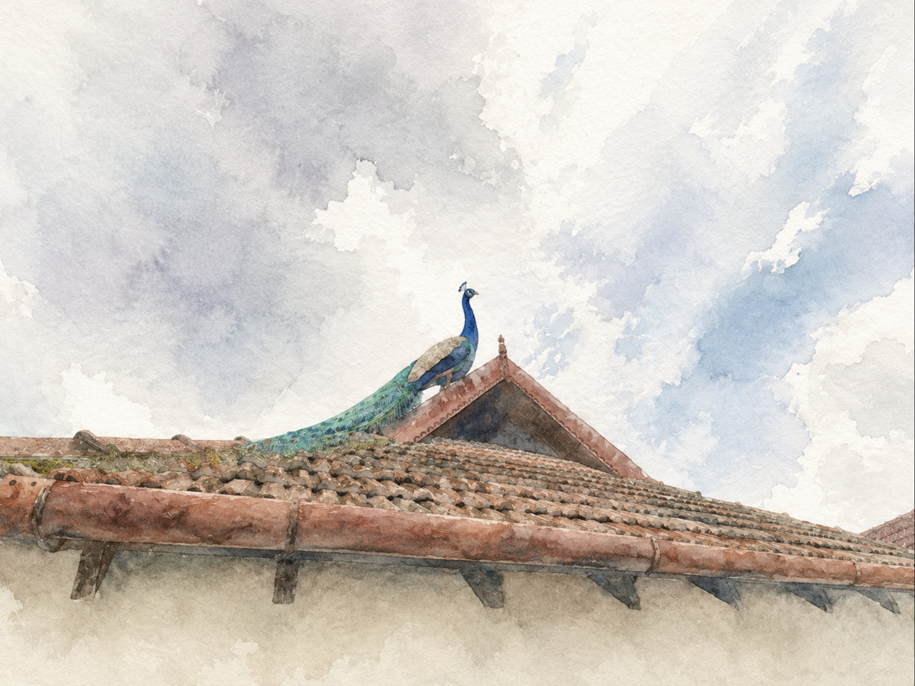 Watercolor view of a peacock on the tiled nālukettu roof